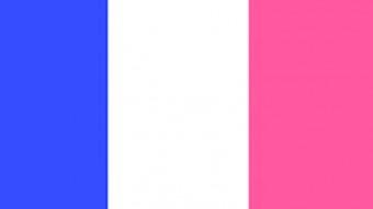 bandera de la republica francesa