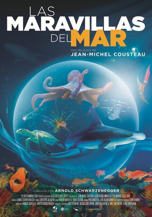 Las maravillas del mar