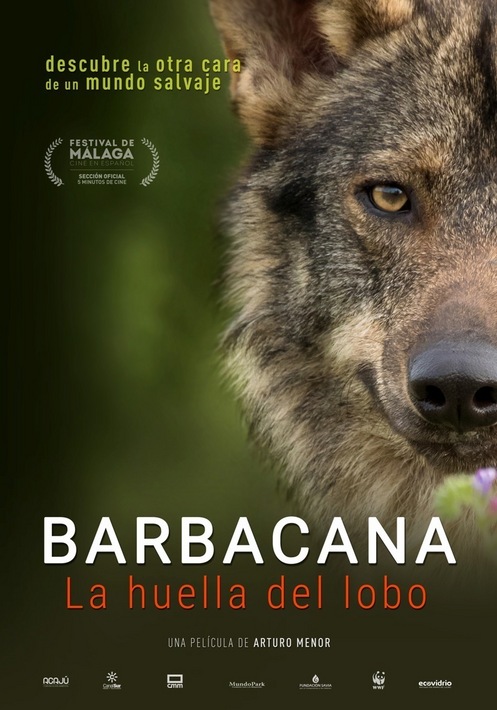 Barbacana, la huella del lobo
