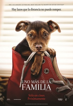 Cartell de la pel·lícula: Uno más de la familia