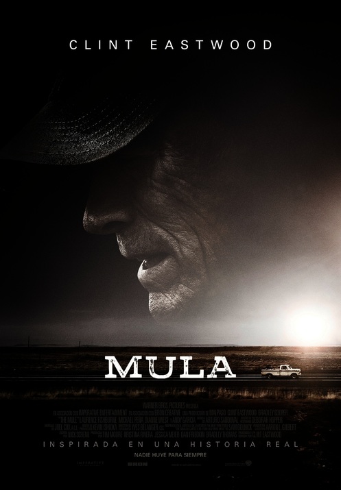 Mula