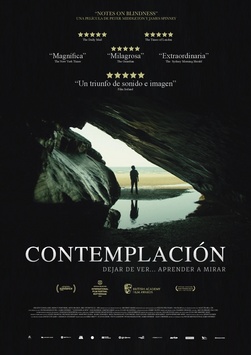 Cartell de la pel·lícula: Contemplación