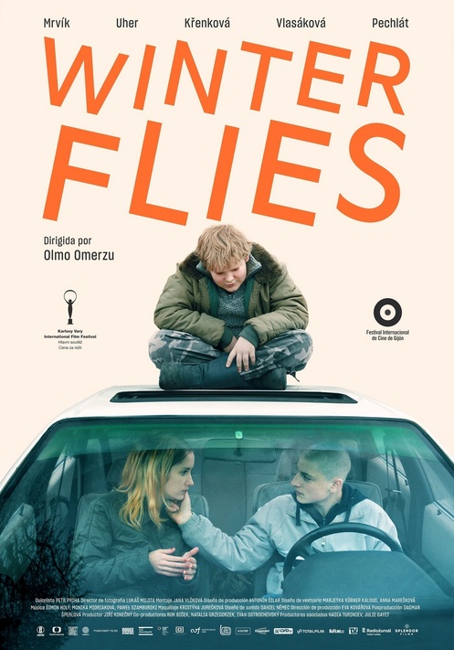 Winter Flies
